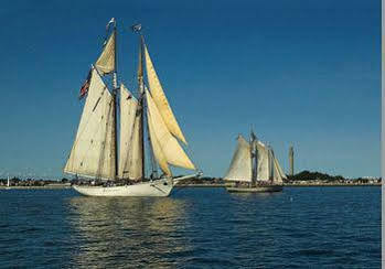 Lotus 4* Provincetown